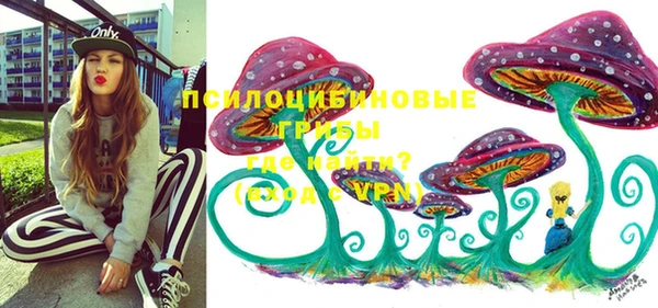 apvp Баксан